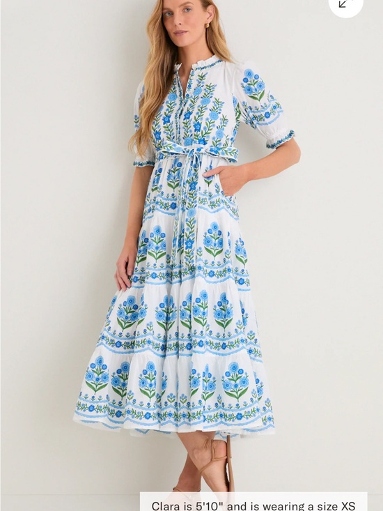 Tuckernuck Dresses & Skirts - NWT! Tuckernuck x Pink City Prints Matilda Dress in Lapis Meadow